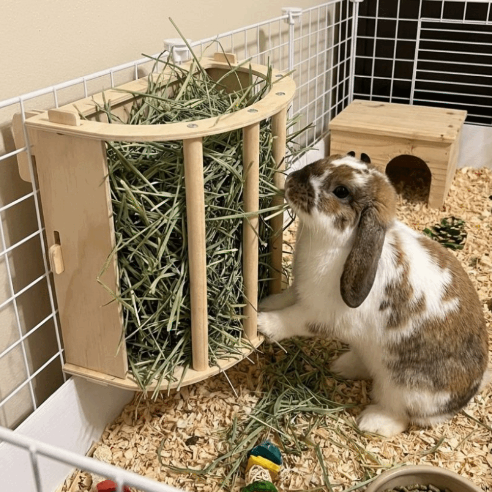 Practical Wooden Bunny Hay Fee – Woodworking Rabbet recenzja i cena