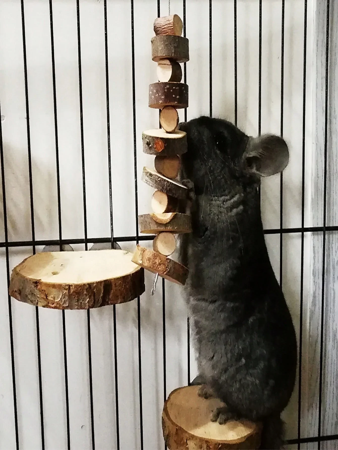 Hamster Rabbit Chew Toy Natura – Woodworking Rabbet recenzja i cena