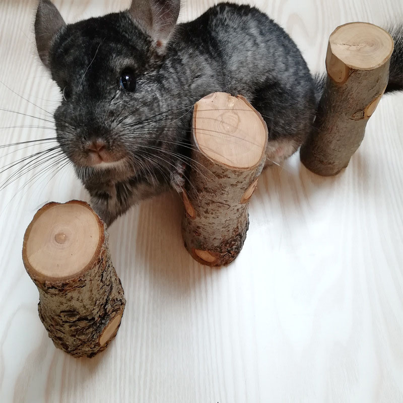 Pet Hamster Toy Natural Apple  – Woodworking Rabbet recenzja i cena