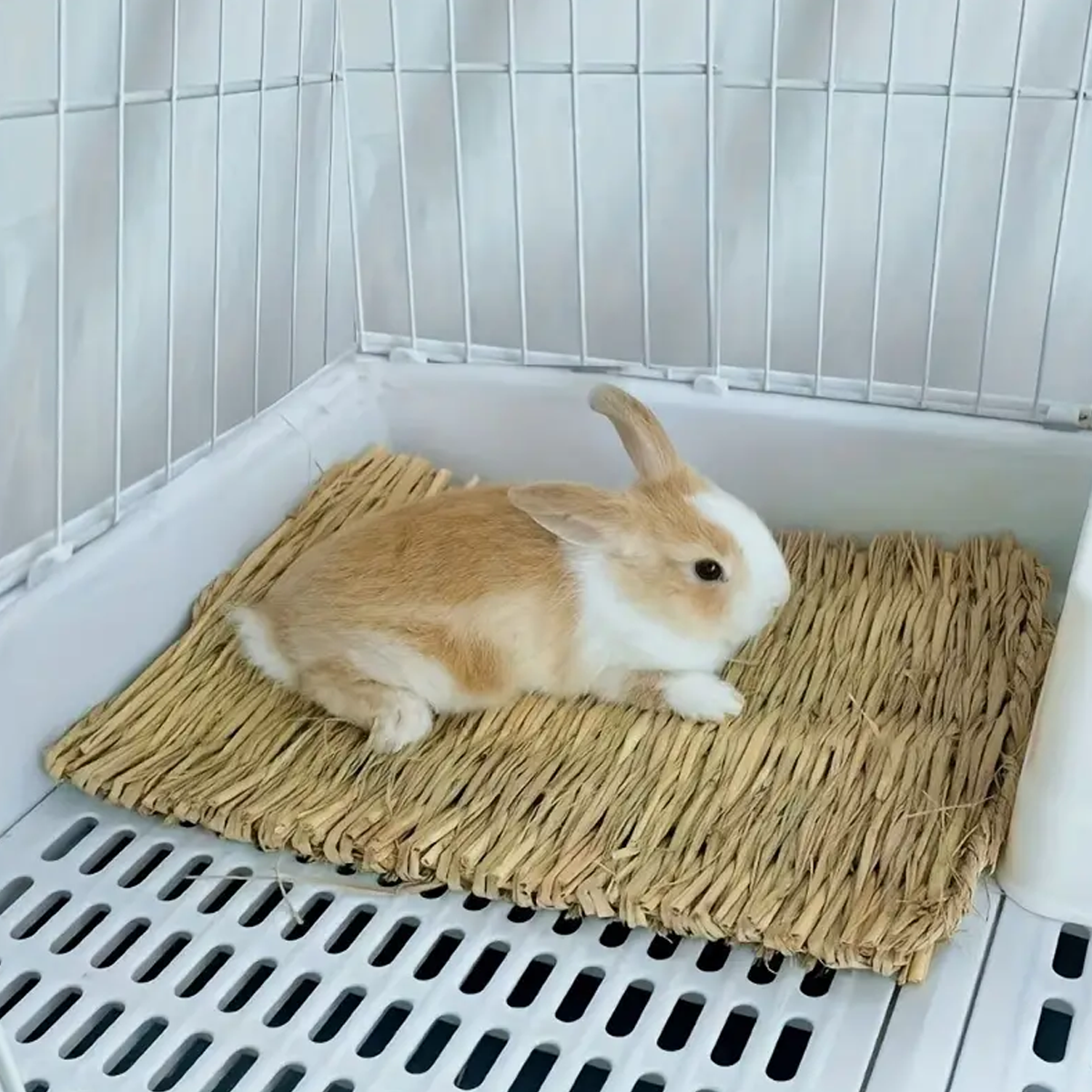 Natural grass woven rabbit gra – Woodworking Rabbet recenzja i cena