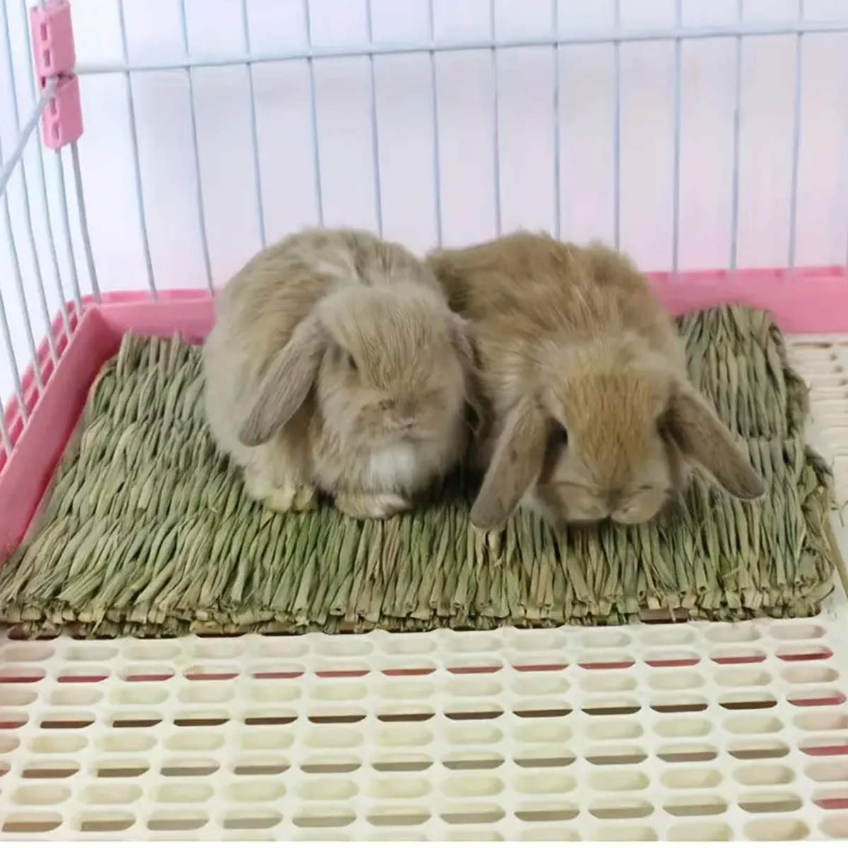 Natural grass woven rabbit gra – Woodworking Rabbet recenzja i cena