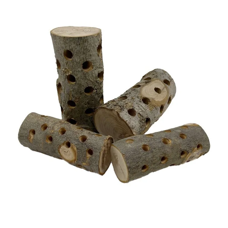 Small Animal Chew Toy Natural  – Woodworking Rabbet recenzja i cena